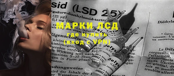прущие грибы Алексеевка